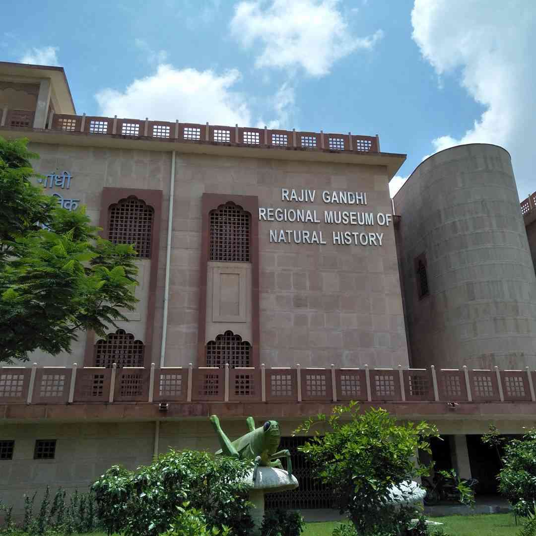 Rajiv Gandhi Museum of Natural History