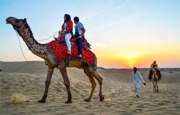  Rajasthan Safari Tour