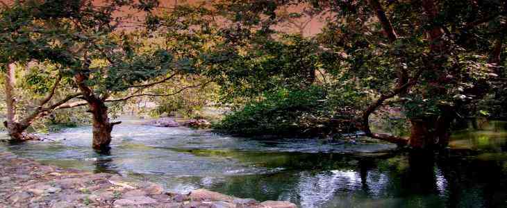 Bassi Wildlife Sanctuary