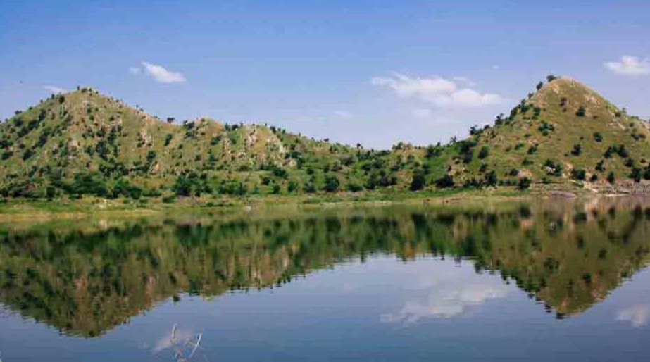 Wildlife Sanctuaries in Rajasthan